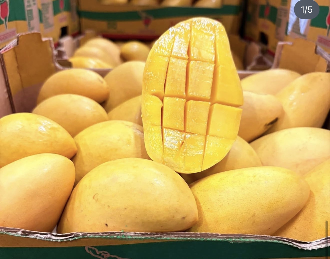 Mango