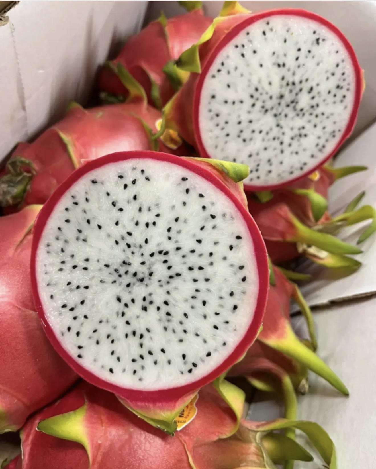 Dragon Fruit